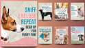 create engaging instagram reels for your brand