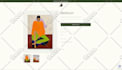 do shopify custom coding, fix bugs, or develop themes