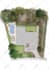 draw color render your 2d floor plan, site and master plan