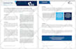 design business documents and flyers
