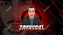 craft professional twitch logo, screens, overlays emotes, kick, animation