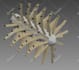 make 3d cad modeling, 3d cad design, and technical drawings
