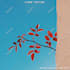 photoshop your images with any type of background