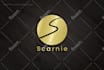 create a modern signature logo