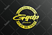 design a modern and professional business logo design