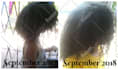 take a hair length comparison photo for you