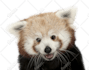 remove 10 images background
