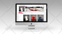 design and develop business website