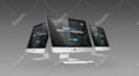 design and develop business website