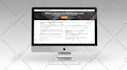 design and develop business website