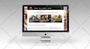 design and develop business website