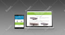 design and develop business website