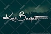 create a modern signature logo