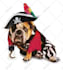 record a pirate happy birthday shoutout or song