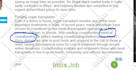 publish guest post on high authority websites for SEO boost