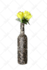 create your  custom leggings or choose from ready made designs
