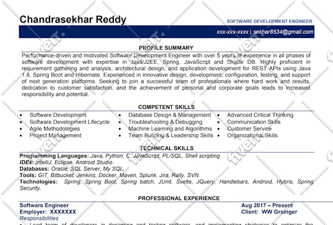 Provide Professional Technical Resume Engineer It Software