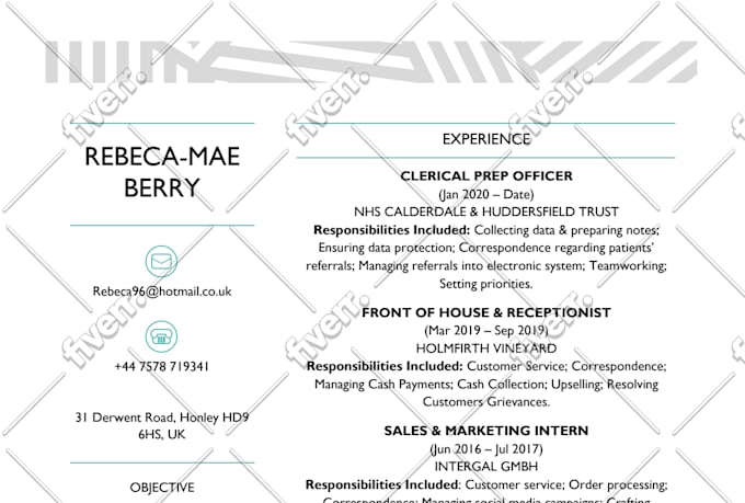 Write Professional Resume And Cover Letter By Mannu Smart