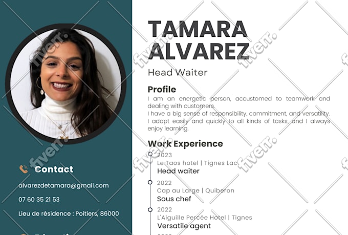 translate CV, resume or cover letter to english or french