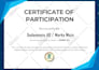 do professional certificate design