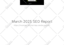 completely manage your SEO strategy and implementation