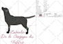 provide quick embroidery file within an hour