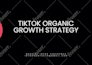 review and consult about your instagram account for growth