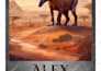 do KDP book formatting, layout design, and typesetting
