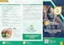 design a professional print and digital catalog from scratch
