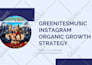 review and consult about your instagram account for growth