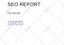provide full SEO service for your website