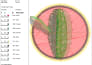 do custom embroidered patches designed digitized and shipped