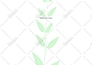 write an aromatherapy blog post for you