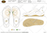 make a footwear, shoes, sneakers design for you