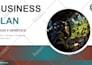 write an investor ready business plan and financial plan