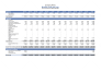 prepare financial statements like balance sheet and p and l