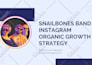 review and consult about your instagram account for growth