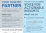 design professional event corporate business flyer brochures and poster
