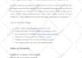 write you an attractive and original blog post or article