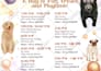 create event invitation design