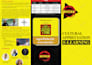 design a marketing flyer, business brochure, and catalog