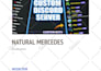 setup a professional discord server with bots, roles and security