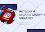 review and consult about your instagram account for growth