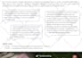 create your business capability statement, ebook, flyer, bifold trifold brochure