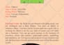 do accurate future readings with numerology