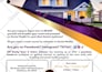 do the professional flyer and brochure design