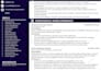 I will do a professional resume writing services - Image 7