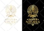 create modern minimalist and luxury monogram logo