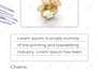 design a marketing flyer, business brochure, and catalog