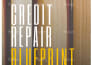 be your lead lion pro expert